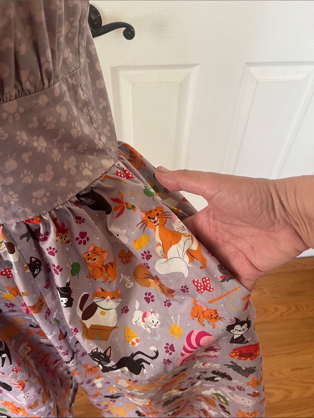 Disney Parks Reigning Cats and Dogs dress shop collection - Picture 3 of 10